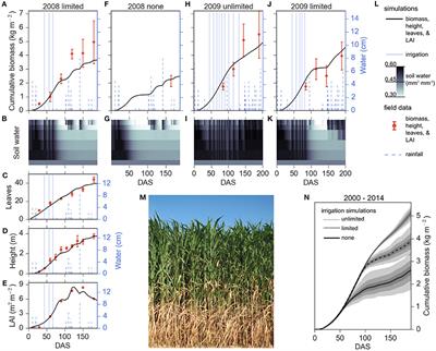 Bioenergy Sorghum Crop Model Predicts VPD-Limited Transpiration Traits Enhance Biomass Yield in Water-Limited Environments